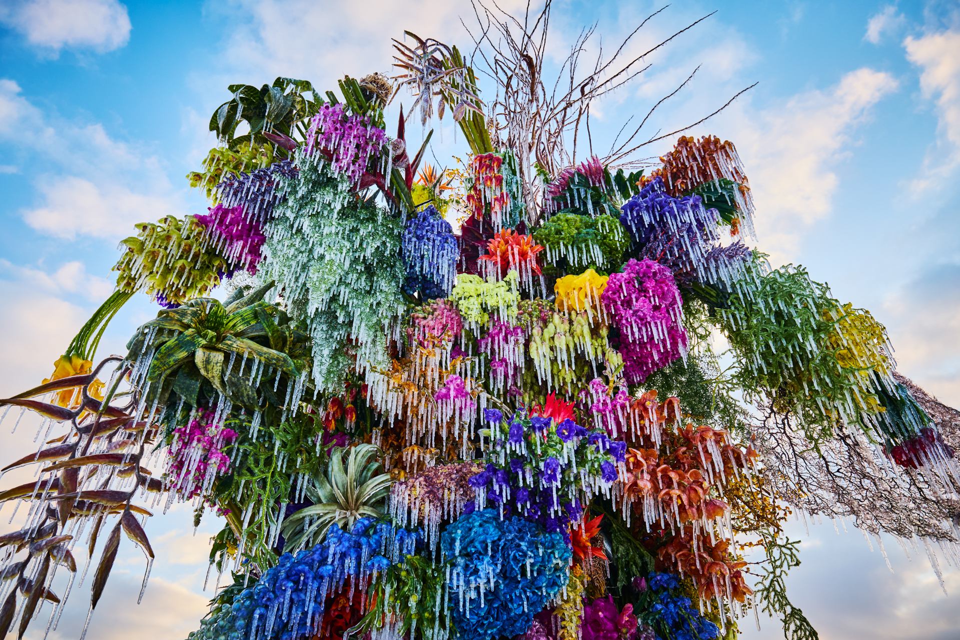 Frozen Flowers 2025 | AMKK（東信, 花樹研究所）